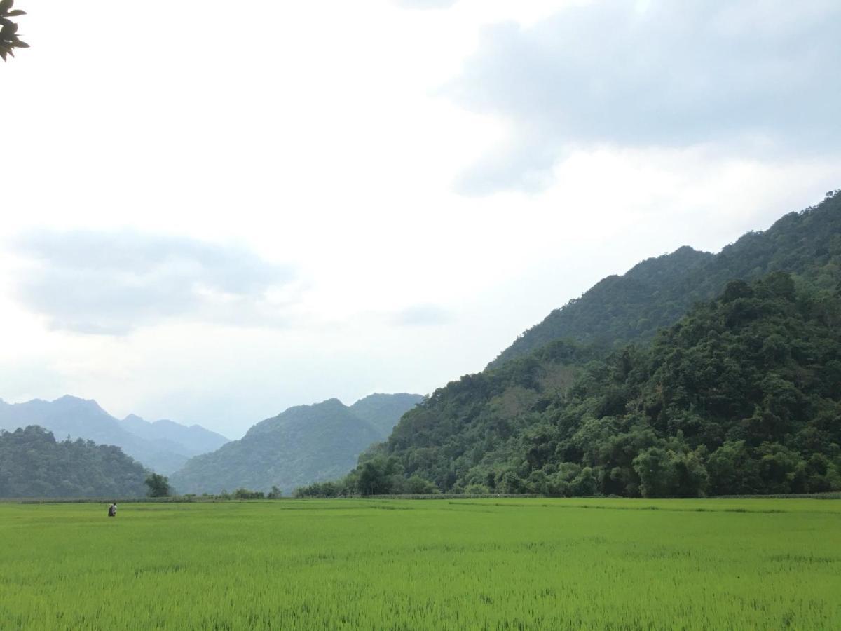 Hoang Quan Homestay Ba Be Bagian luar foto